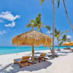 BEACH CLUB