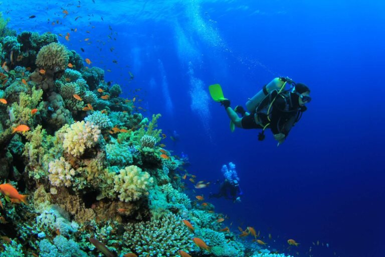 Emeral-Maldives---Diving-