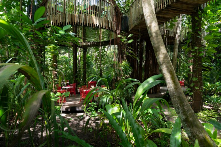 Treetop-Dining-at-Nest-Restaurant