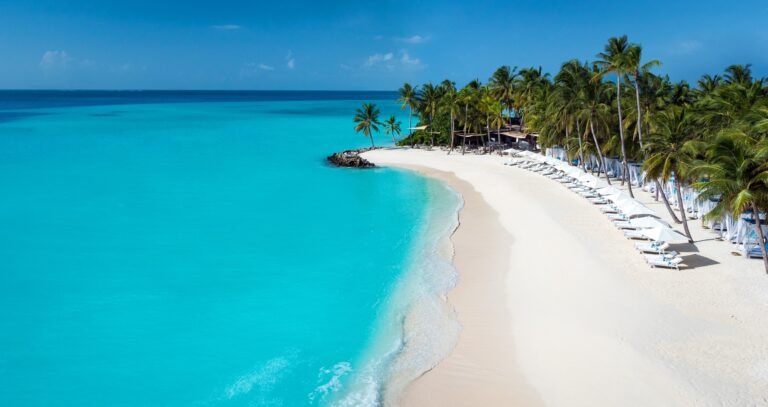 oneandonly_beachclub_aerial